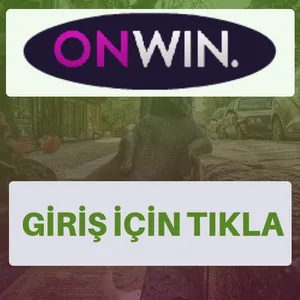 Onwin giriş